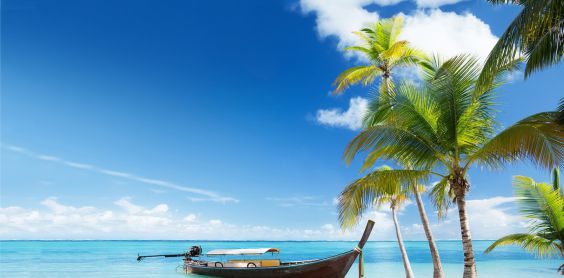 Honeymoon Holidays